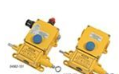 美國(guó)Rees電纜Rees按鈕開(kāi)關(guān)Rees控制開(kāi)關(guān)