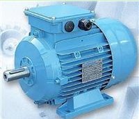 供應(yīng)T-T Electric電機