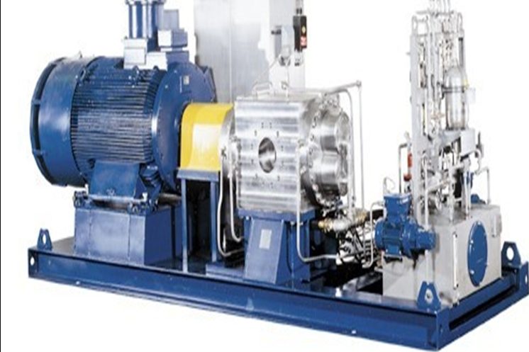 德國(guó)LEISTRITZ泵