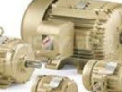 西班牙CEMER電機(jī)