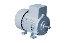 德國(guó)BIRKENBEUL專用電機(jī)