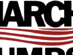 美國MARCH磁力驅(qū)動泵